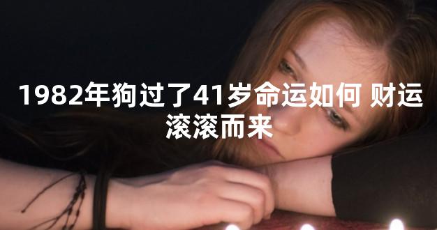 1982年狗过了41岁命运如何 财运滚滚而来